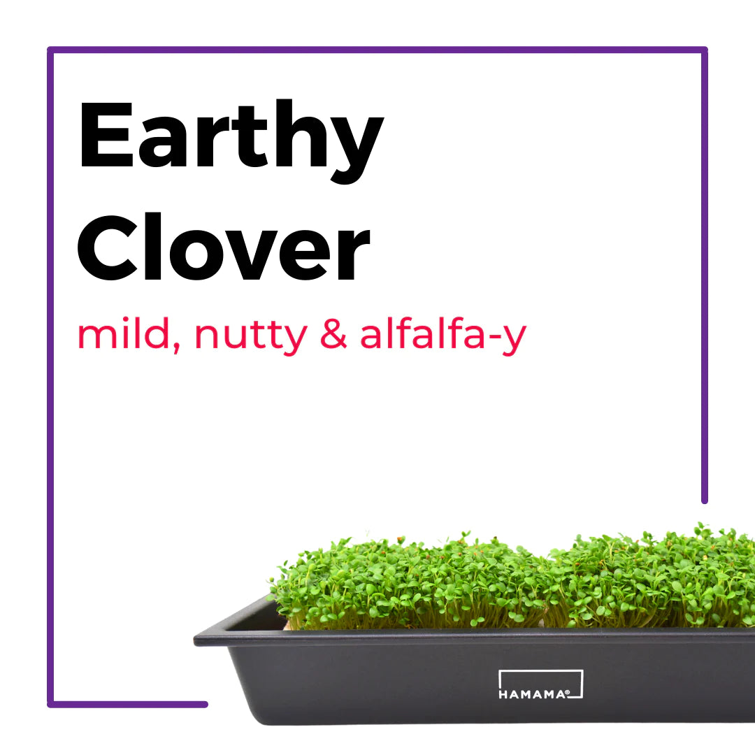 The Microgreens Grow Kit