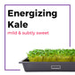 The Microgreens Grow Kit