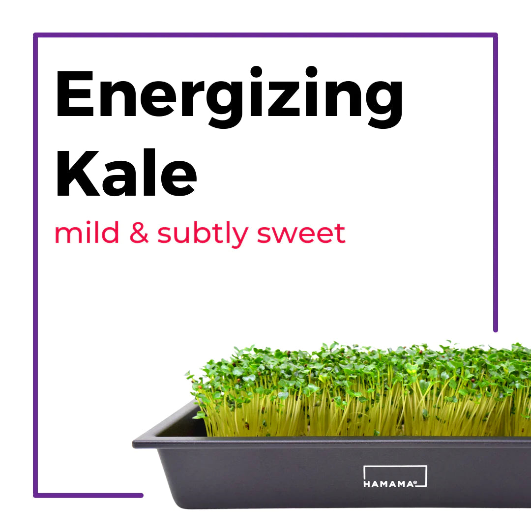 The Microgreens Grow Kit