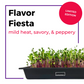 Flavor Fiesta Seed Quilts