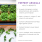 Peppery Arugula Seed Quilts