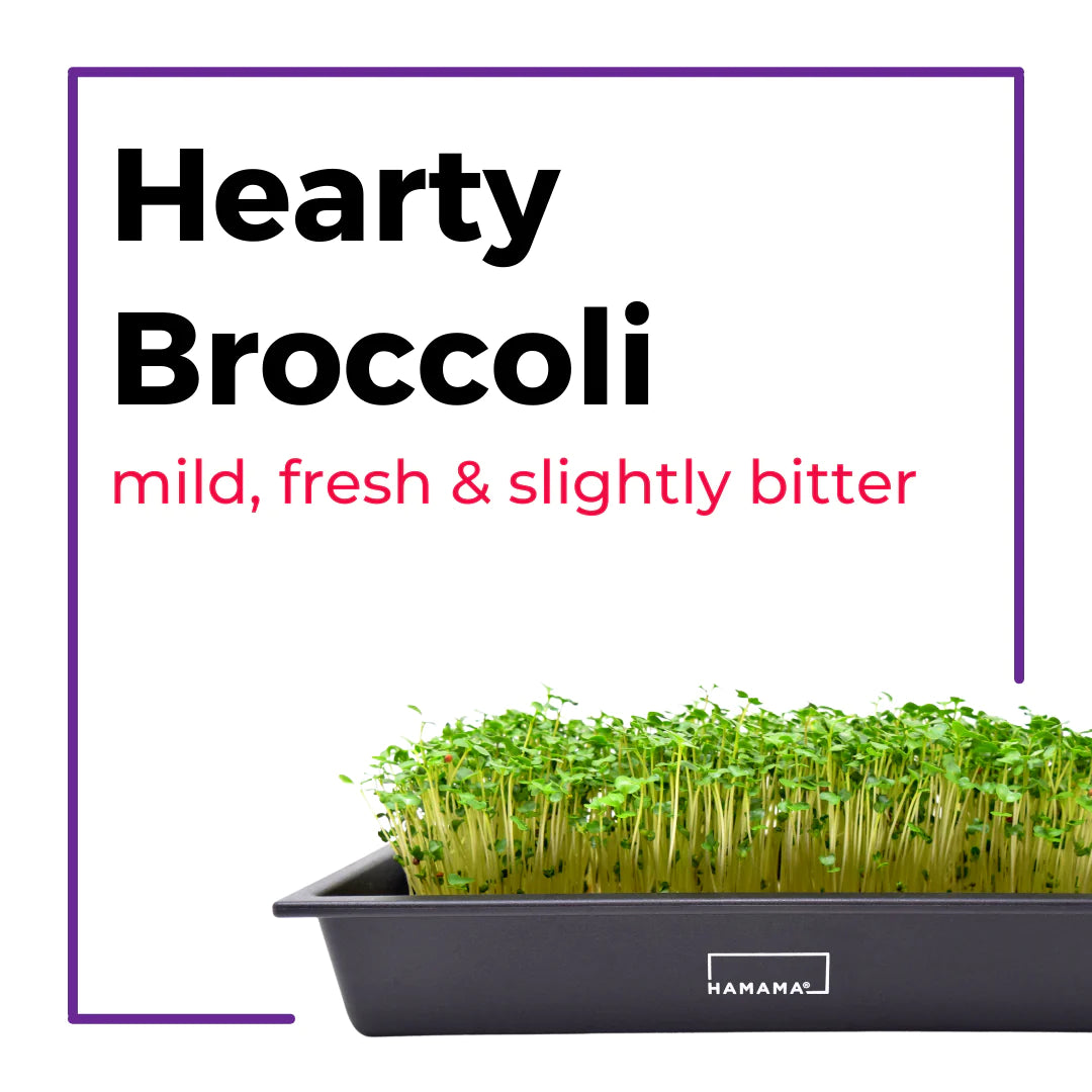 The Microgreens Grow Kit