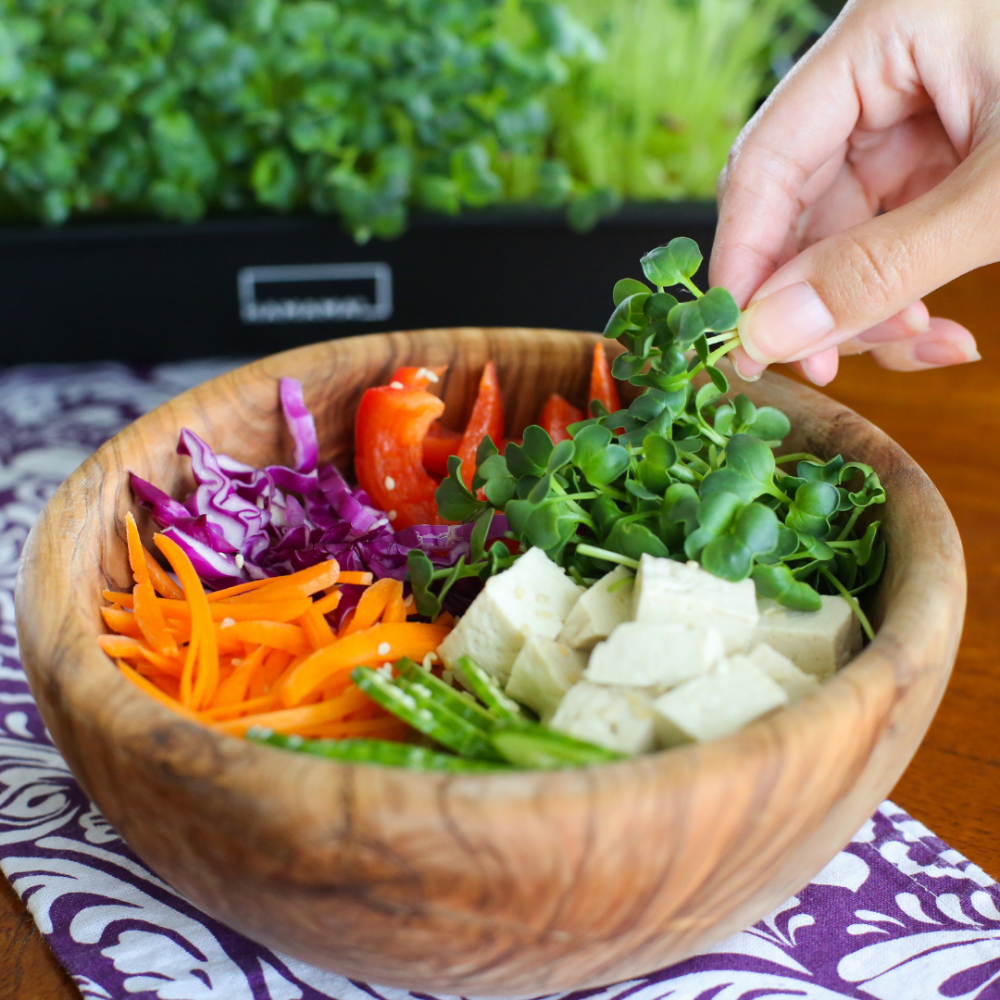 Microgreen Kit - Gift