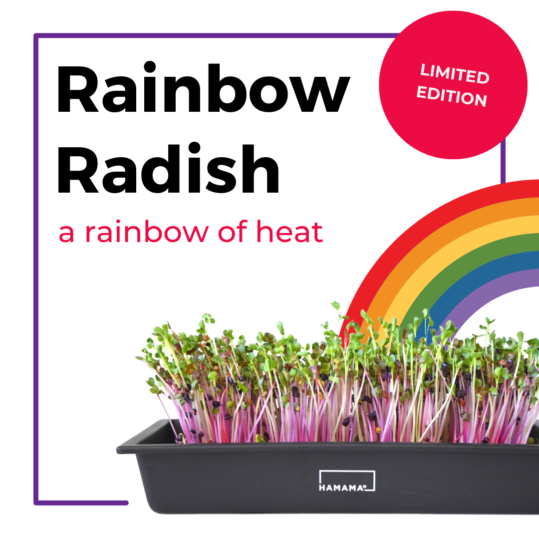 The Microgreens Grow Kit