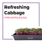 The Microgreens Grow Kit