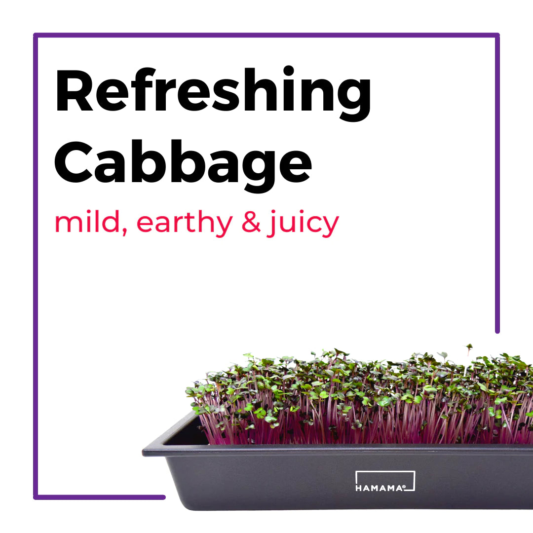 The Microgreens Grow Kit