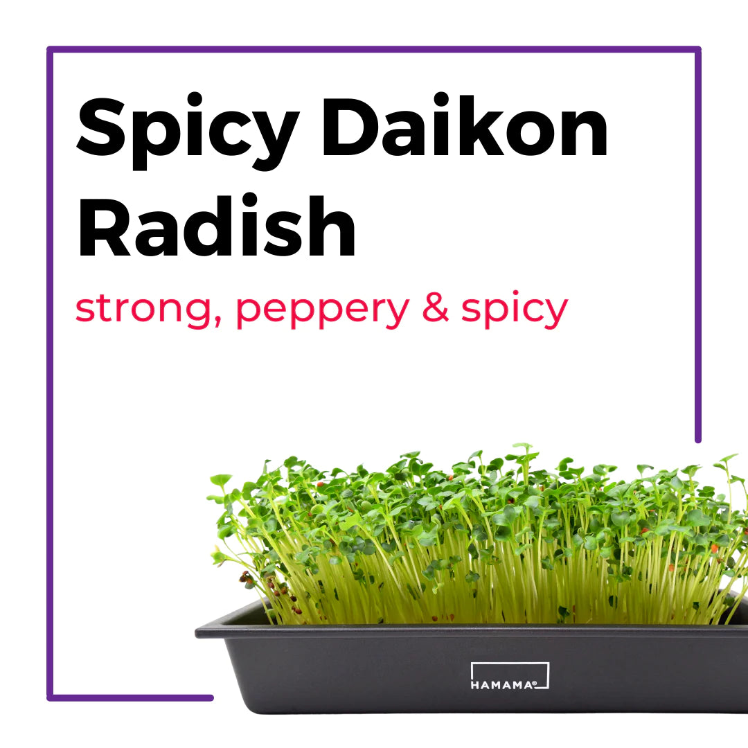 The Microgreens Grow Kit