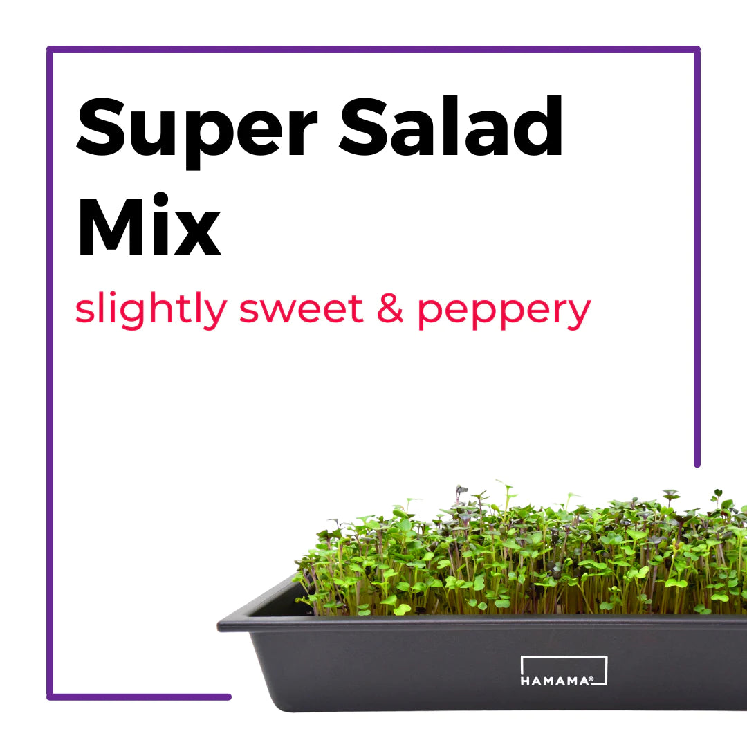 The Microgreens Grow Kit