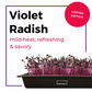 The Microgreens Grow Kit