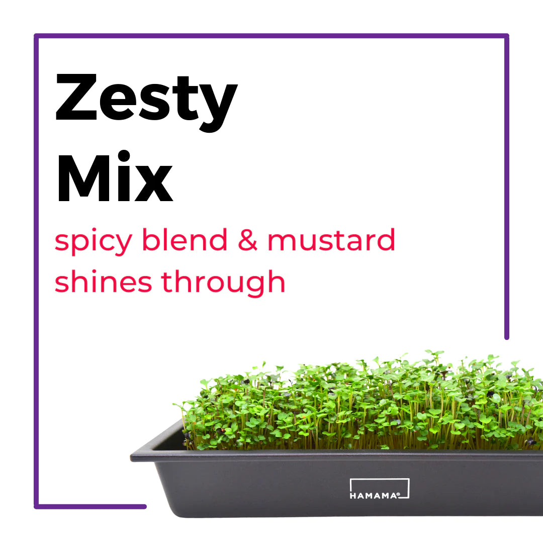The Microgreens Grow Kit