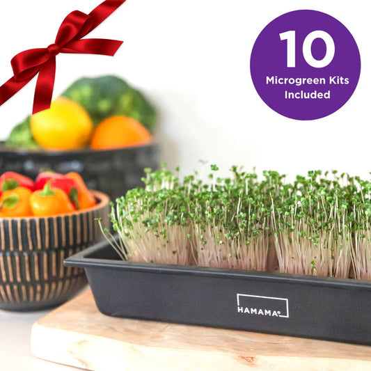 Case of 10 Microgreen Kits - Gift