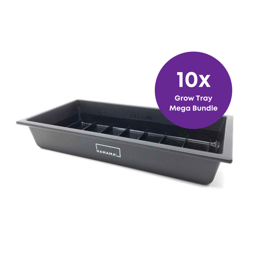 10x Grow Tray Bundle