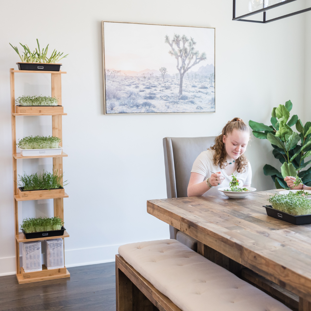 Grow Shelf