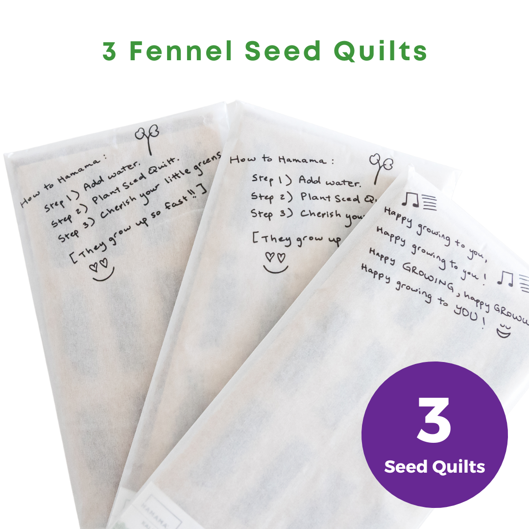 Aromatic Fennel Seed Quilt 3-Pack