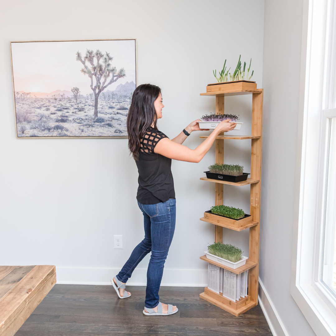 shelving for indoor plants Grow Shelf