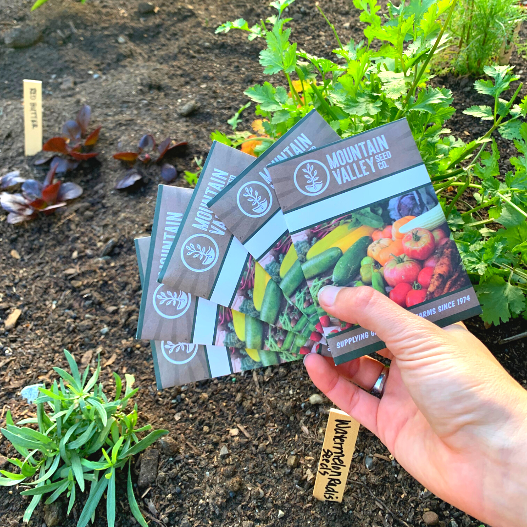 Garden Seed Variety Pack