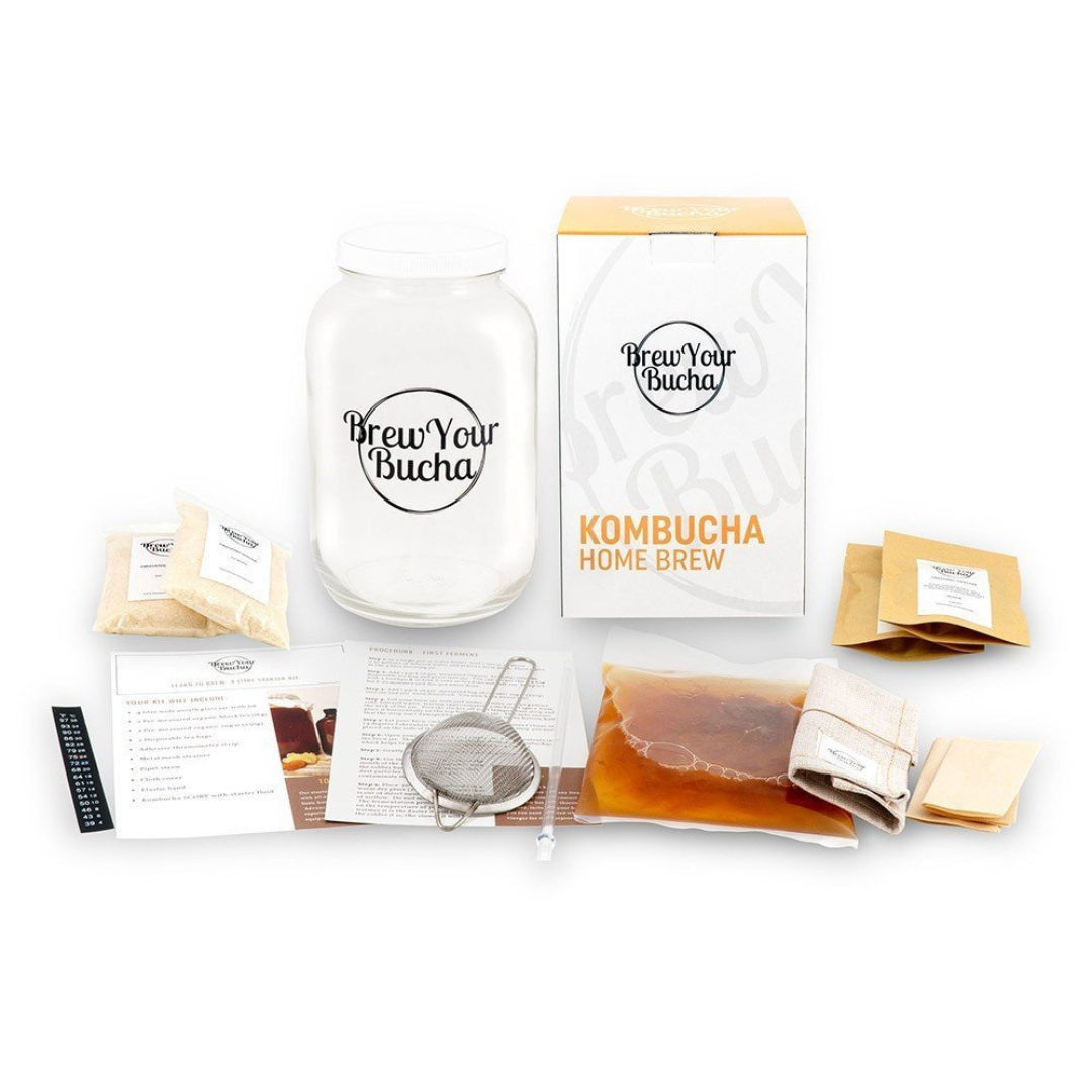 Kombucha Starter Kit – Hamama