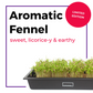 Aromatic Fennel Seed Quilt 3-Pack