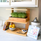Grow Shelf Mini