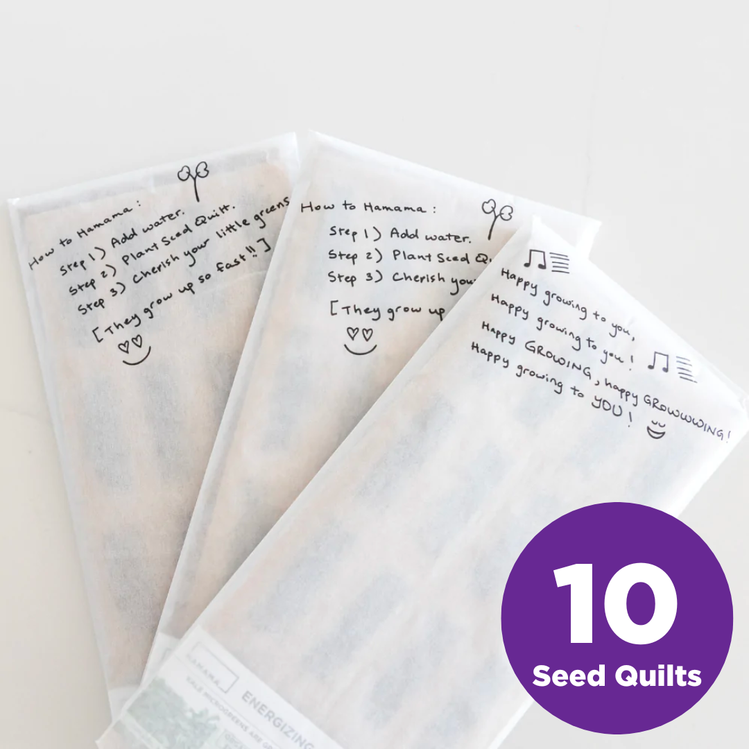 Savory Celery 10-Pack
