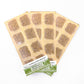 Culinary Cilantro Microgreen Kit with Bamboo Frame
