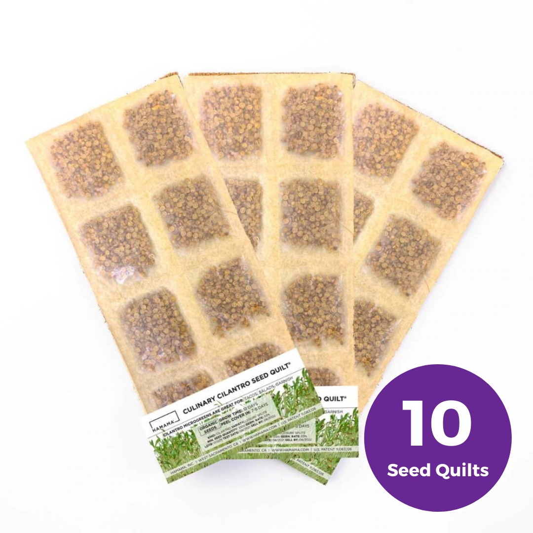 Culinary Cilantro Seed Quilt - 10 Pack