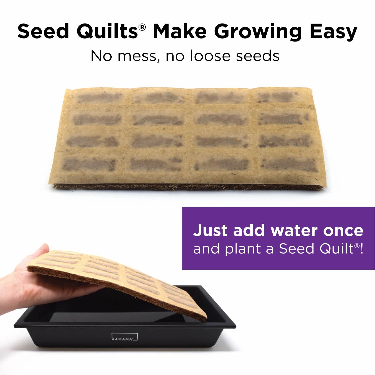 7+ Microgreen Seed Quilt 7+ Microgreen Seed Quilt