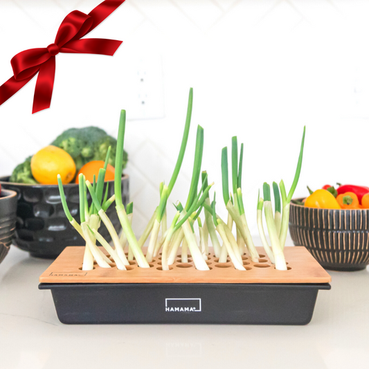 Green Onion Kit Gift