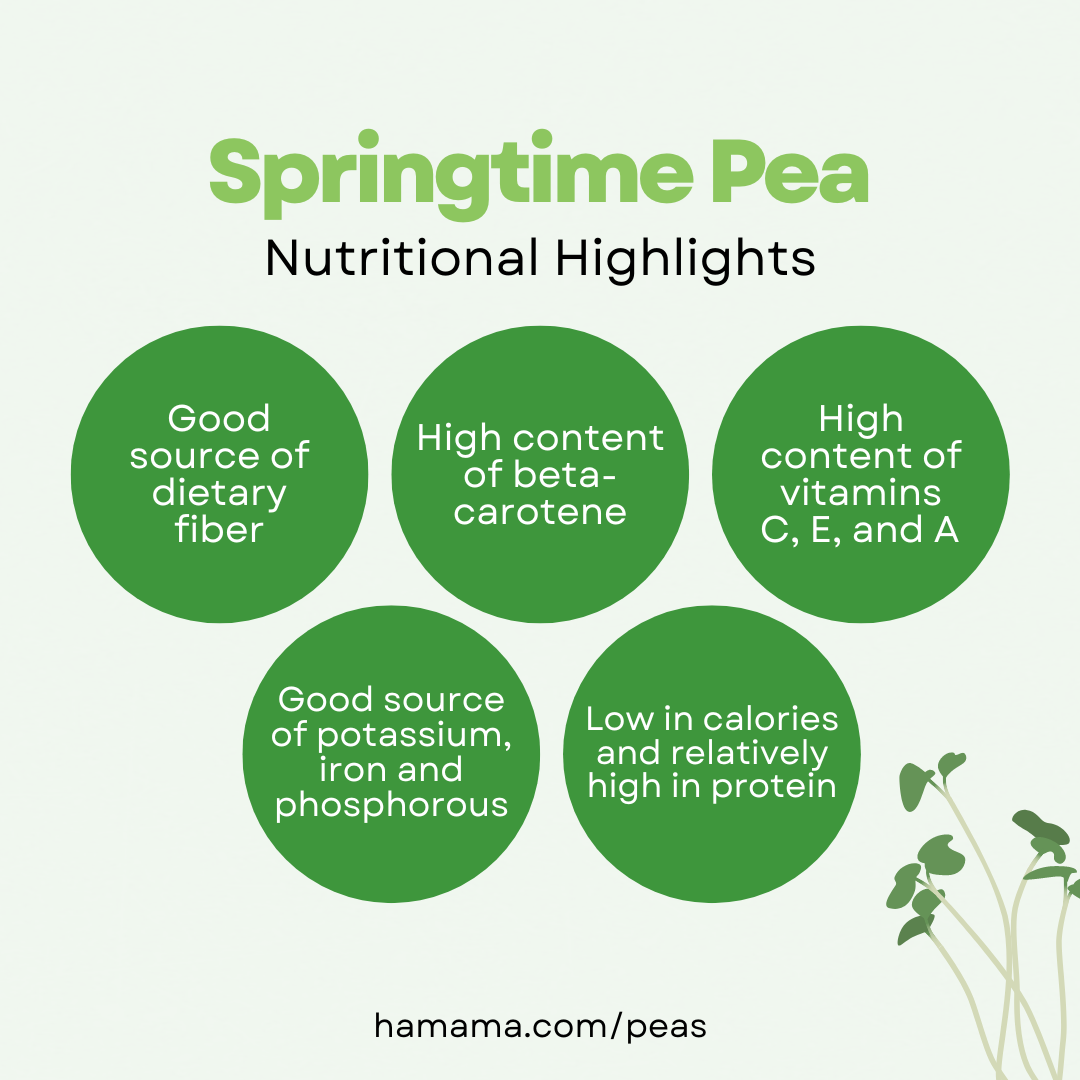 Springtime Pea 3-Pack