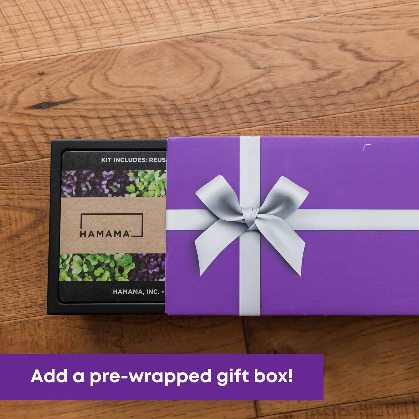 Committed to Health Starter Kit Gift