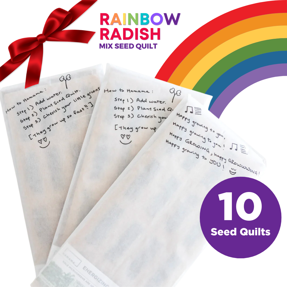 Rainbow Radish 10-Pack