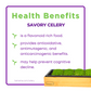 Savory Celery 10-Pack